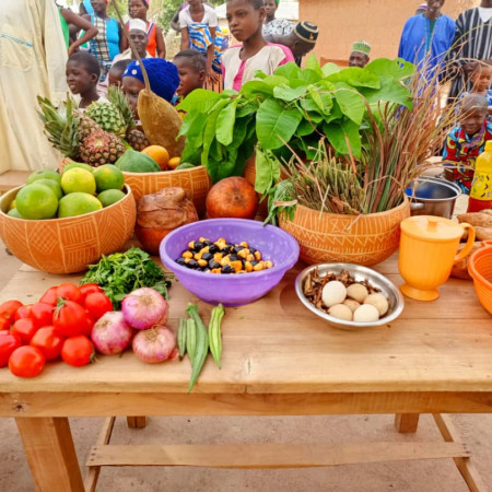 Promotion et consolidation des bonnes pratiques d'hygiène et d'assainissement et de l'alimentation du nourrisson et du jeune enfant