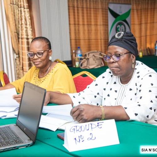 Acteurs institutionnels